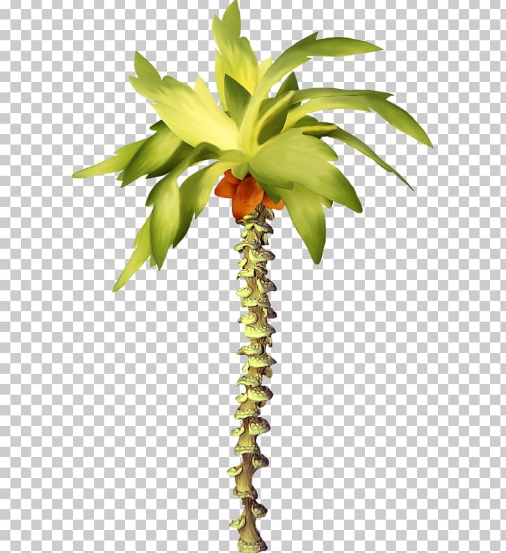 Leaf Tree Auglis Mangifera Indica PNG, Clipart, Arecaceae, Auglis, Eff, Flower, Flowerpot Free PNG Download