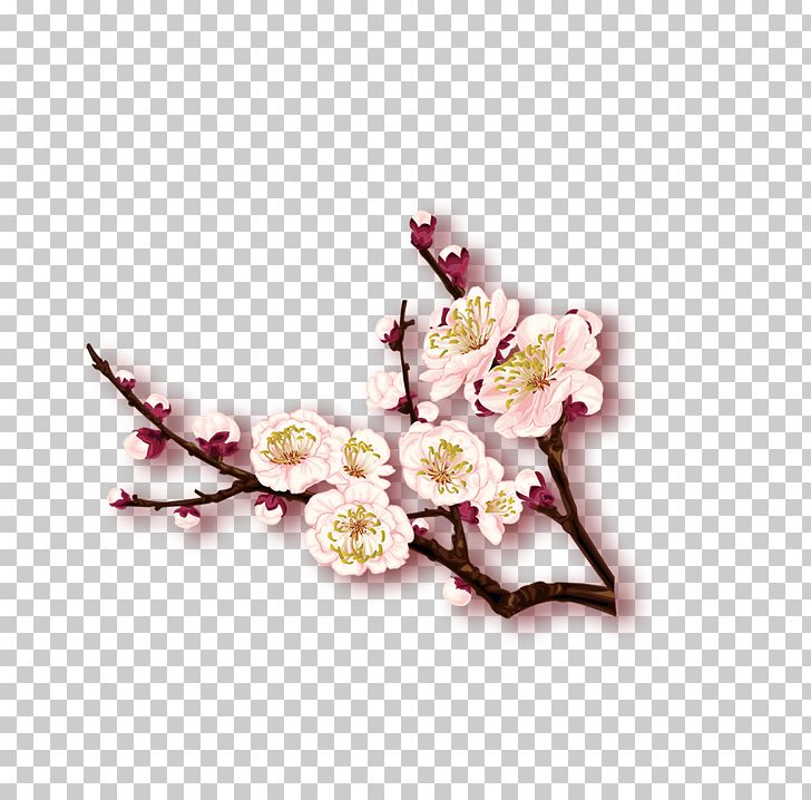 Plum Blossom Winter PNG, Clipart, Artificial Flower, Blossom, Branch, Cut Flowers, Early Free PNG Download