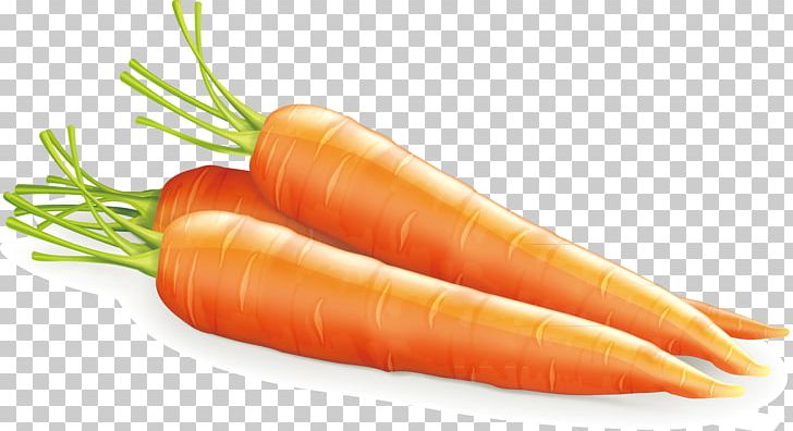 Baby Carrot Vegetable Agriculture Simulation PNG, Clipart, Carrot, Carrot Vector, Christmas Decoration, Decor, Decoration Free PNG Download