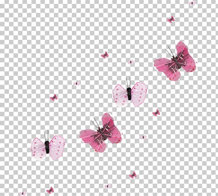 Butterfly ST.AU.150 MIN.V.UNC.NR AD Desktop PNG, Clipart, 095, Blood On The Dance Floor, Blossom, Butterfly, Cherry Blossom Free PNG Download