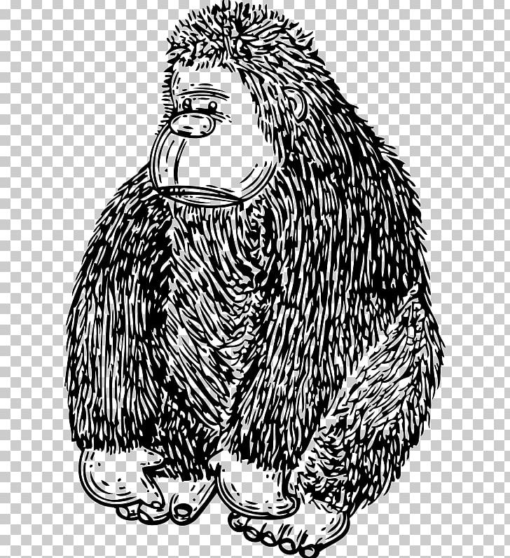Gorilla PNG, Clipart, Animals, Art, Beak, Bird, Black And White Free PNG Download