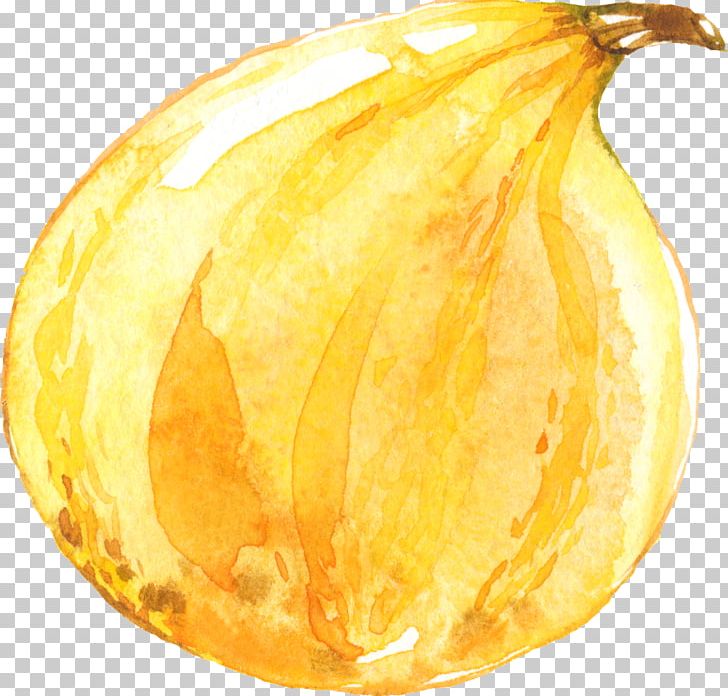 Calabaza Google S Designer PNG, Clipart, Art, Auglis, Autumn, Autumn Leaves, Autumn Tree Free PNG Download