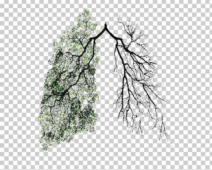 Lung Cancer Earth Green PNG, Clipart, Black And White, Branch, Capillary, Chemical Element, Drawing Free PNG Download