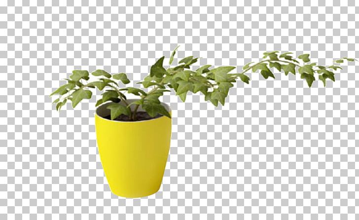 Plant Vine 3D Modeling Vase PNG, Clipart, 3d Computer Graphics, 3d Modeling, Air, Areca Palm, Autodesk 3ds Max Free PNG Download