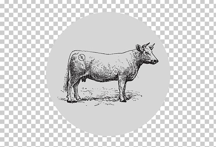 Beef Cattle Charolais Cattle Steak Meat PNG, Clipart, Beef, Beef Cattle, Black And White, Bull, Cattle Free PNG Download