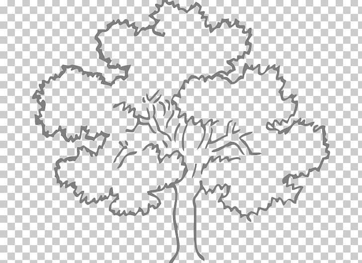 Quercus Kelloggii Tree Black And White Drawing PNG, Clipart, Angle, Area, Black, Black And White, Diagram Free PNG Download