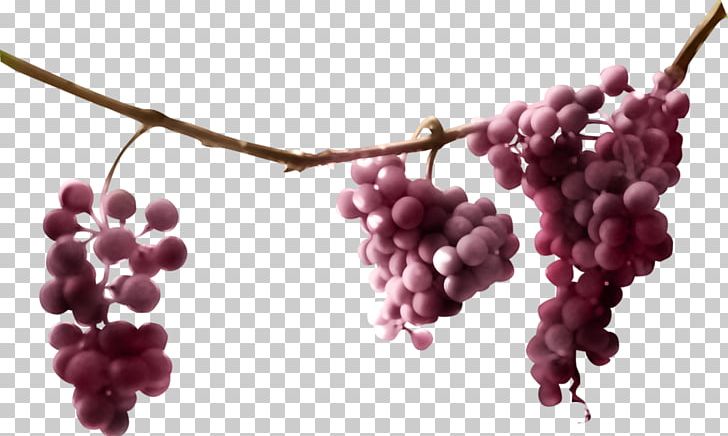 Common Grape Vine Must Juice Sultana PNG, Clipart, Auglis, Berry, Branch, Common Grape Vine, Food Free PNG Download