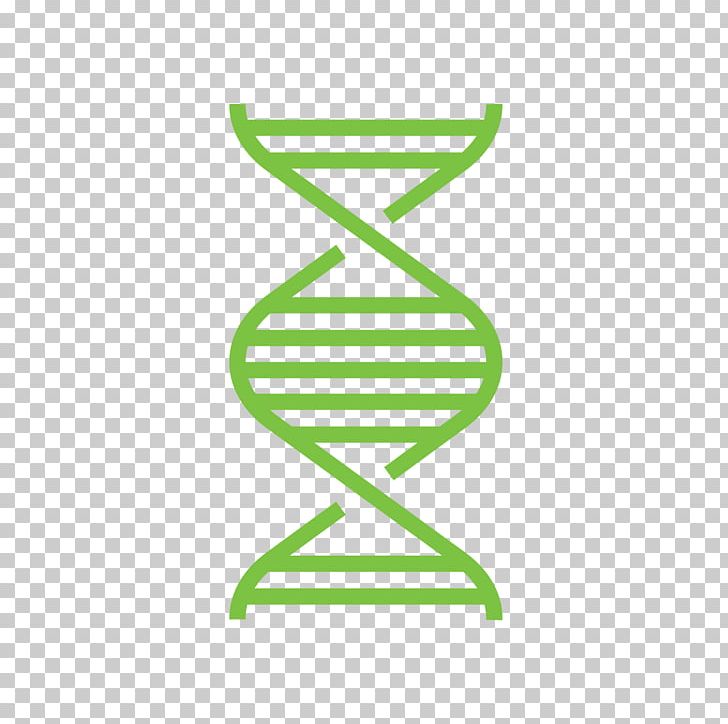 Line Genetics PNG, Clipart, Angle, Area, Art, Biology, Chromosome Free PNG Download