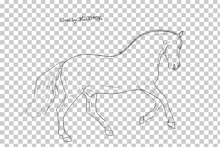Mule Foal Stallion Halter Colt PNG, Clipart, Animal Figure, Arm, Artwork, Black And White, Bridle Free PNG Download