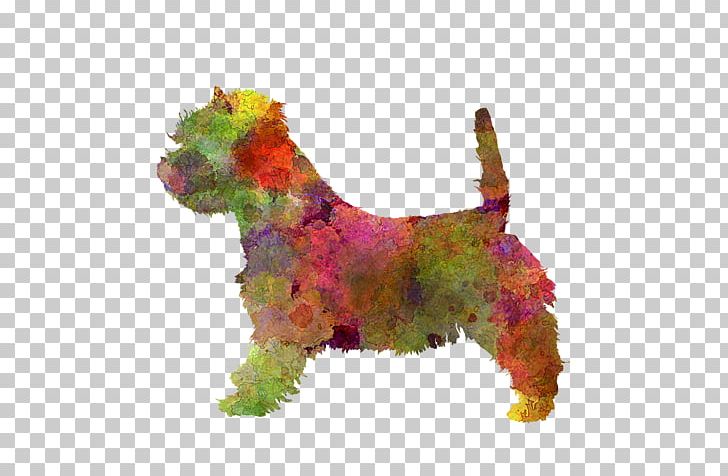 Cairn Terrier West Highland White Terrier Dog Breed Watercolor Painting PNG, Clipart, Breed, Cairn, Cairn Terrier, Carnivoran, Dog Free PNG Download