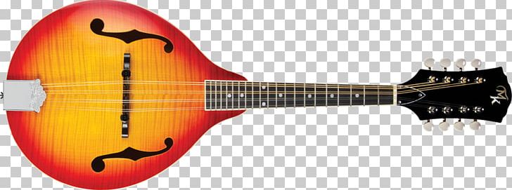 Acoustic Guitar Electric Guitar Tiple Cuatro Mandolin PNG, Clipart, Acoustic Electric Guitar, Cuatro, Guitar Accessory, Mandolin, Michael Free PNG Download