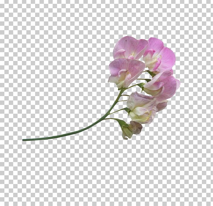 Flower Icon PNG, Clipart, Abstract Lines, Art, Beautiful, Beautiful Flower Picture, Blog Free PNG Download