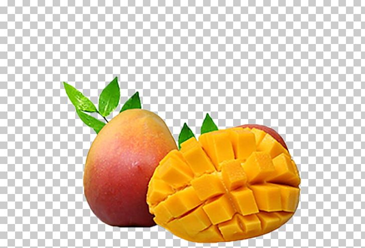 Mango Juice Richmond Vancouver Fruit PNG, Clipart, Cat, Day, Day Cat Fresh, Design Of Electricity, Details Free PNG Download