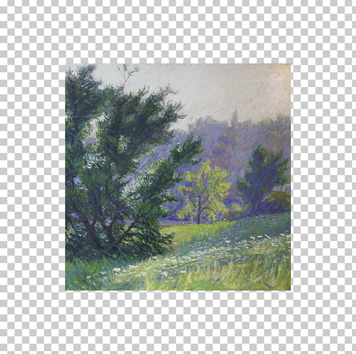 Watercolor Painting Forest Ecosystem Landscape PNG, Clipart, Art, Biome, Ecosystem, Forest, Grass Free PNG Download