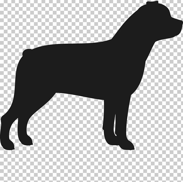 Beagle Golden Retriever American Bulldog Rottweiler PNG, Clipart, American Bulldog, Animals, Beagle, Black, Black And White Free PNG Download