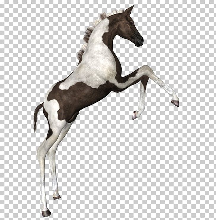Horse Drawing PNG, Clipart, Animals, Art, Bit, Brush, Colt Free PNG Download
