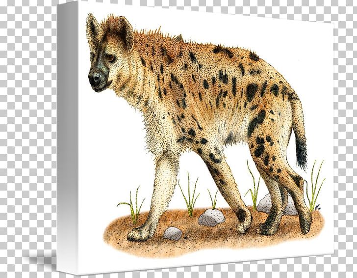 Spotted Hyena Gemsbok Cheetah Lion PNG, Clipart, Animal, Animals, Big Cat, Big Cats, Biting Free PNG Download