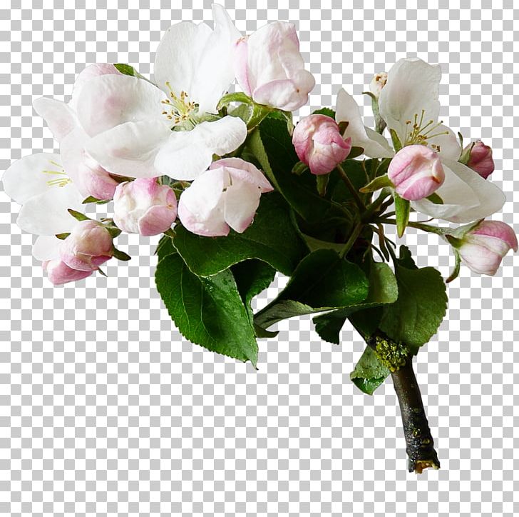 Flower Tree Digital PNG, Clipart, Artificial Flower, Blossom, Branch, Cherry Blossom, Color Free PNG Download