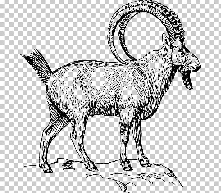 Goat Alpine Ibex Computer Icons Pyrenean Ibex PNG, Clipart, Alpine Ibex, Animal, Animal Figure, Animals, Black And White Free PNG Download