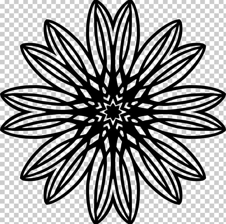 Line Art Photography Drawing PNG, Clipart, Art, Black And White, Circle, Drawing, Flora Free PNG Download