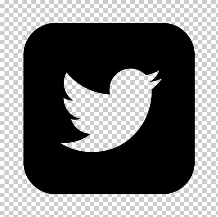 Logo Computer Icons PNG, Clipart, Beak, Bird, Black, Black And White, Black Twitter Free PNG Download