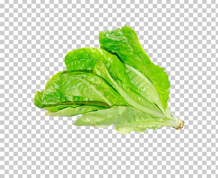 Romaine Lettuce Red Leaf Lettuce Chard Collard Greens PNG, Clipart, Chard, Choy Sum, Collard Greens, Food, Leaf Free PNG Download