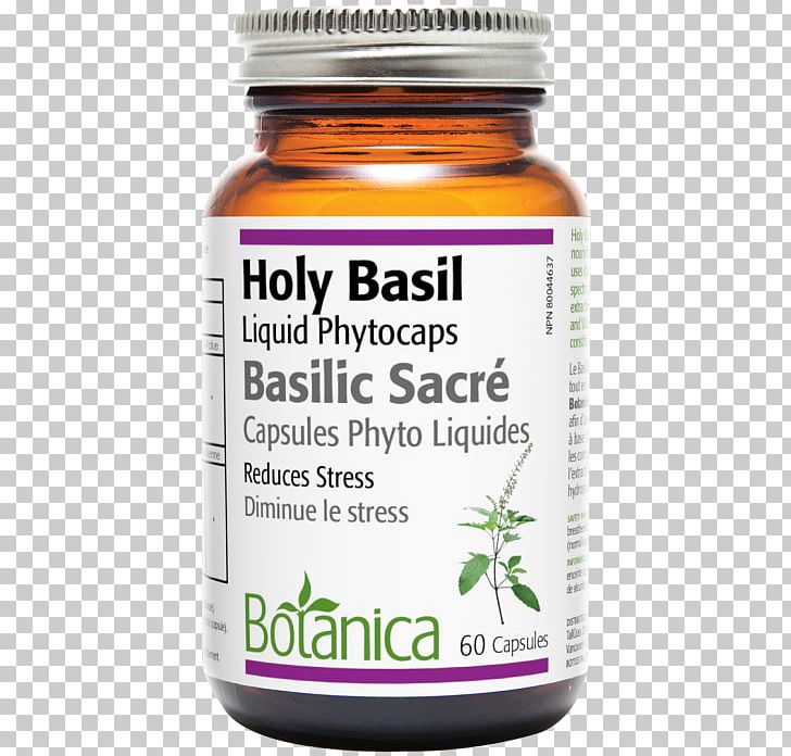 Capsule Holy Basil Health Herb Liquid PNG, Clipart, Adaptogen, Basil, Capsule, Eugenol, Extract Free PNG Download