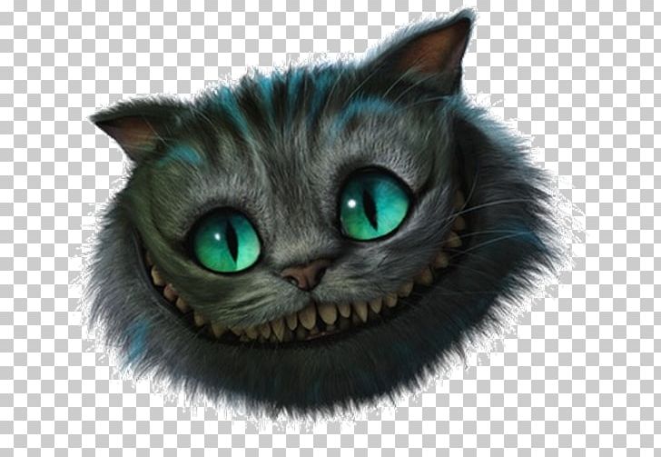 Cheshire Cat Alice In Wonderland Jack Skellington Caterpillar Daisy Duck PNG, Clipart, Ali, Alices Adventures In Wonderland, Alice Through The Looking Glass, Avatan Plus, Black Cat Free PNG Download