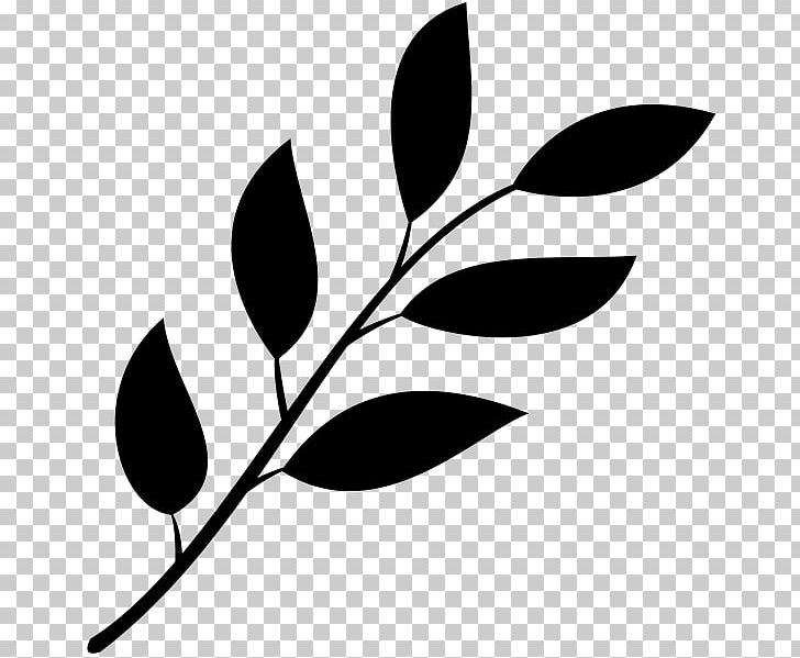 Leaf PNG, Clipart, Autumn Leaf Color, Black, Black And White, Branch, Computer Icons Free PNG Download