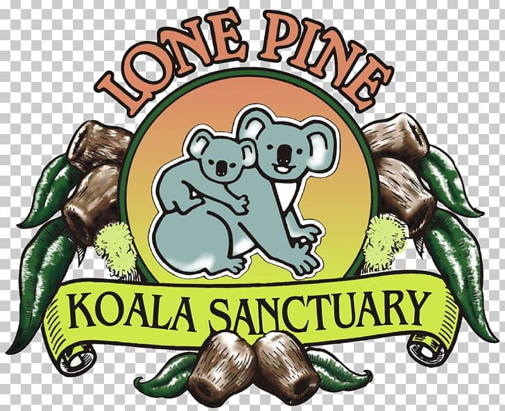 Lone Pine Koala Sanctuary Brisbane River Platypus Animal Sanctuary PNG, Clipart, Amphibian, Animal, Animal Sanctuary, Australia, Bear Free PNG Download