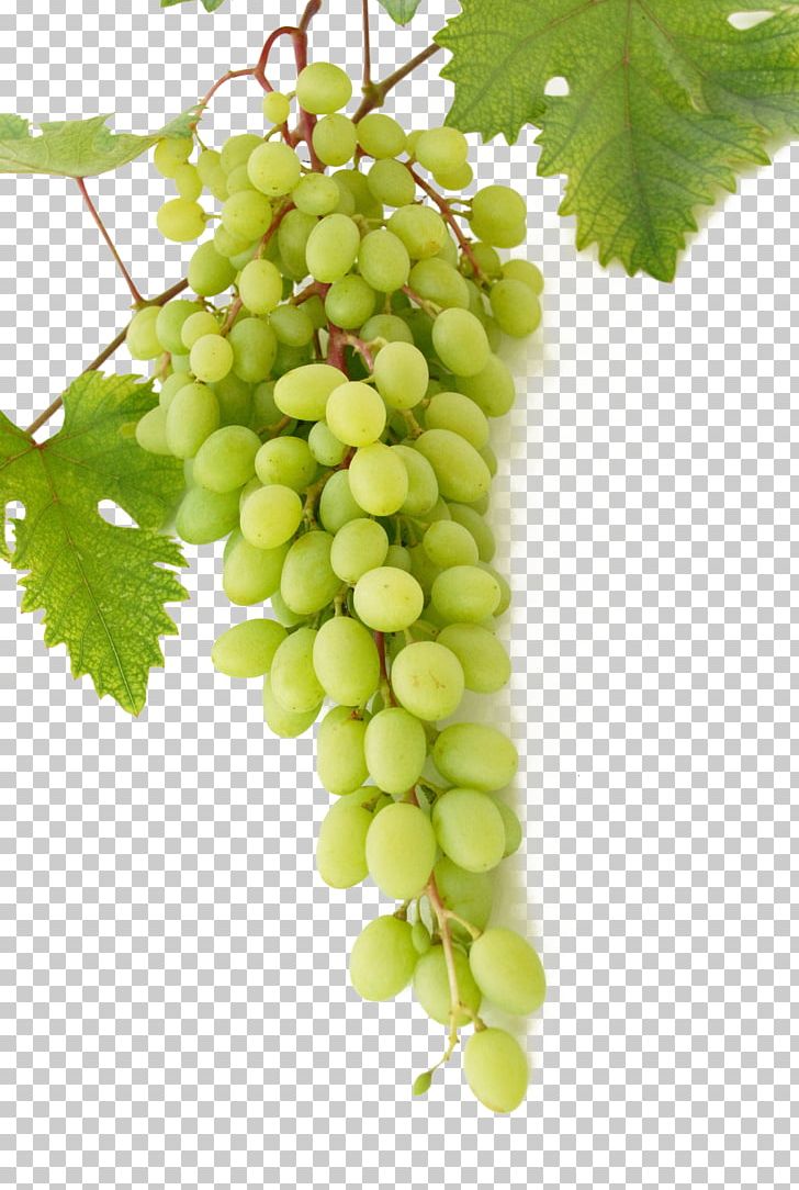 Wine Common Grape Vine Mousse Cream PNG, Clipart, Background Green, Berry, Cuvxe9e, Food, Fruit Free PNG Download
