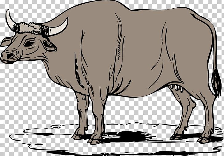 Cattle Water Buffalo Ox PNG, Clipart, Animal, Black And White, Bull, Cartoon, Cattle Free PNG Download