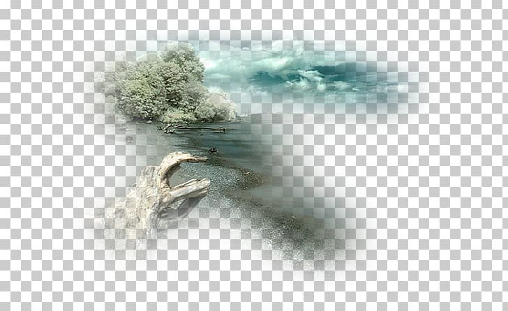 Landscape Painting PNG, Clipart, Animation, Computer Wallpaper, Doga, Doga Manzara, Doga Manzara Resimleri Free PNG Download