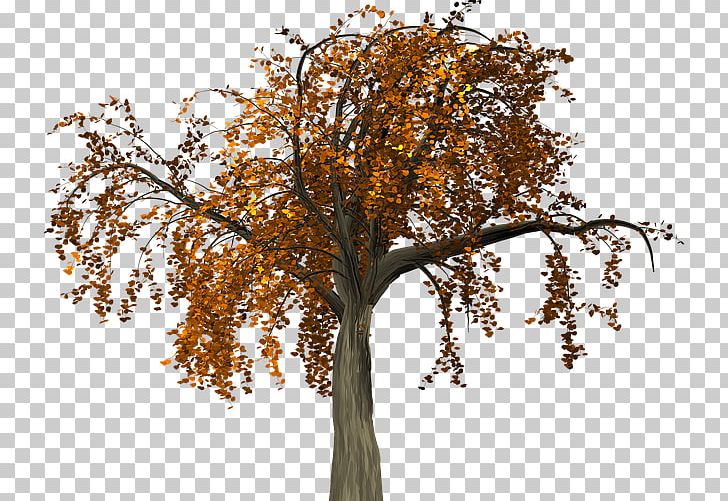 Twig Tree Trunk Autumn PNG, Clipart, Autumn, Branch, Cloud Tree, Fall, Flower Free PNG Download