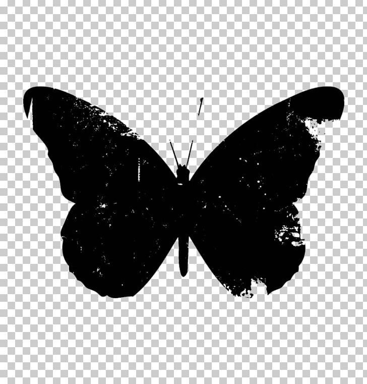 Butterfly PNG, Clipart, Art, Arthropod, Black, Black And White, Brush Footed Butterfly Free PNG Download