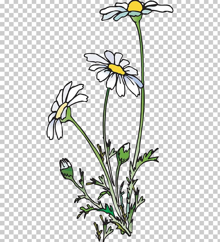 Common Daisy Poetry PNG, Clipart, Art, Artwork, Blog, Branch, Common Daisy Free PNG Download