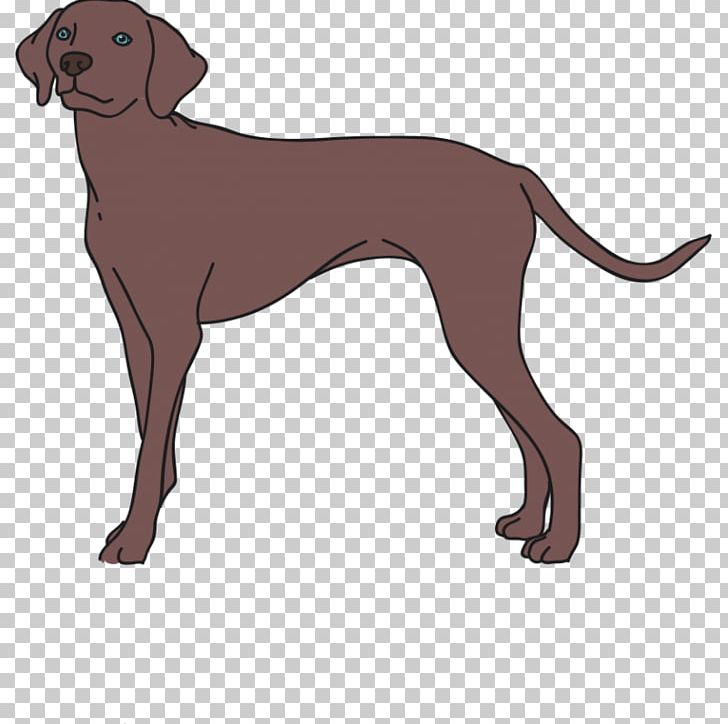 Dog Breed Italian Greyhound Redbone Coonhound Longdog Companion Dog PNG, Clipart, Animal, Bree, Carnivoran, Companion Dog, Dog Free PNG Download