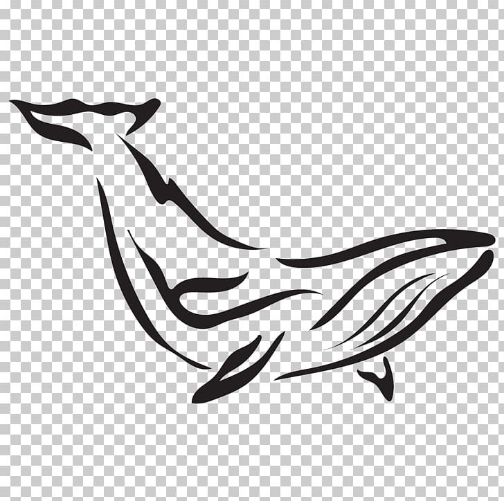Endangered Species Feather Bird White Beak PNG, Clipart, Art, Bald Uakari, Beak, Bird, Black Free PNG Download