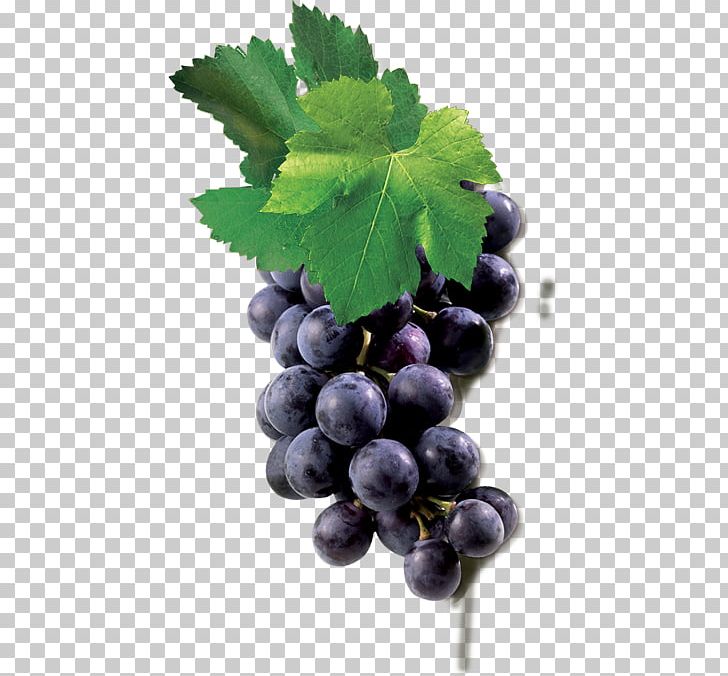 Grape Blueberry Tea Zante Currant Seedless Fruit PNG, Clipart, Berry, Bilberry, Black Grapes, Blueberry, Blueberry Tea Free PNG Download