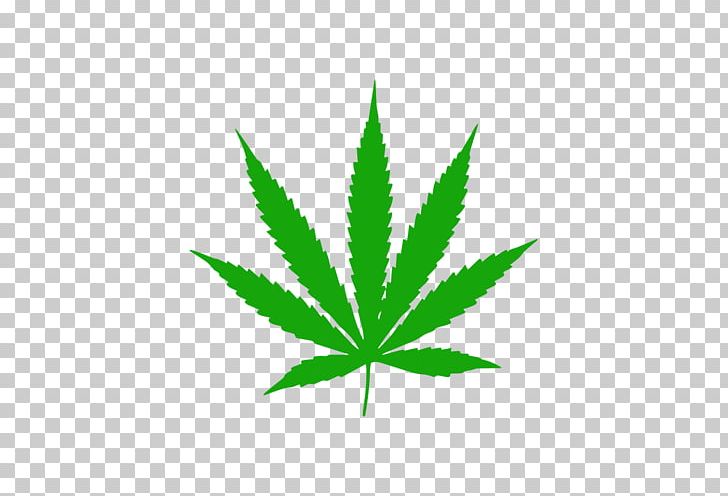 Medical Cannabis Dispensary Legality Of Cannabis By U.S. Jurisdiction California Proposition 215 PNG, Clipart, California Proposition 215, Cannabis, Cannabis In California, Cannabis Industry, Cannabis In India Free PNG Download