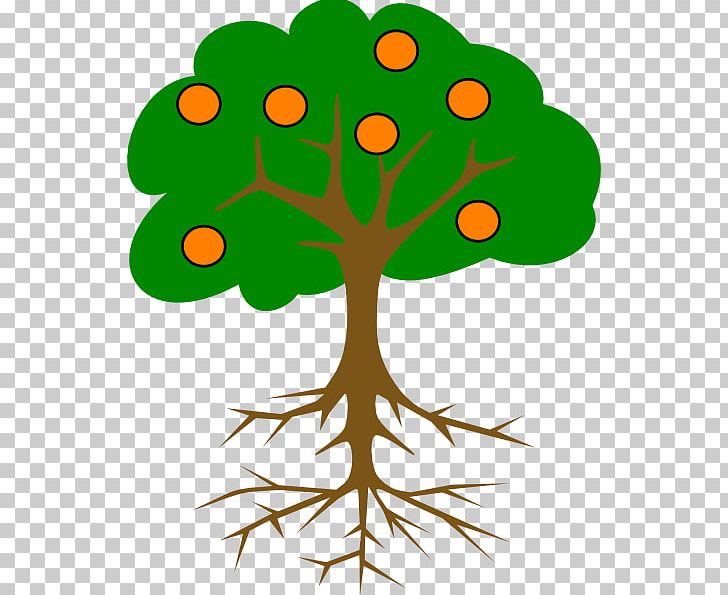 Tree Branch Root PNG, Clipart, Apple, Artwork, Branch, Cartoon Orange Tree, Christmas Tree Free PNG Download