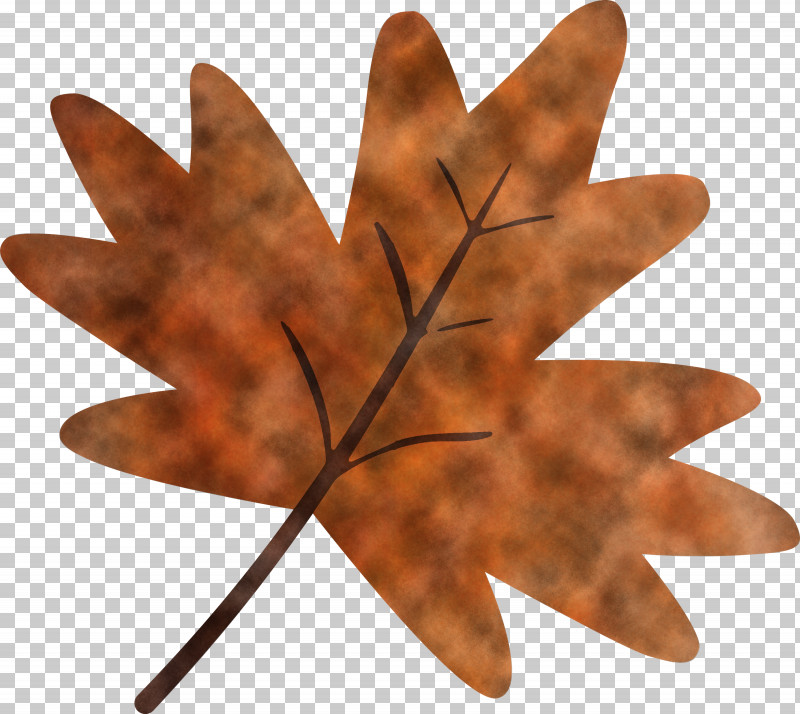 Maple Leaf PNG, Clipart, Leaf, Maple Leaf, Plane, Plant, Tree Free PNG Download