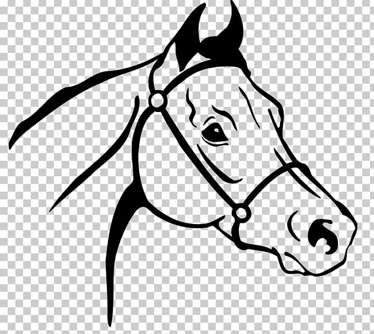 Arabian Horse Thoroughbred Drawing PNG, Clipart, Black, Dog Like Mammal, Encapsulated Postscript, Fictional Character, Head Free PNG Download