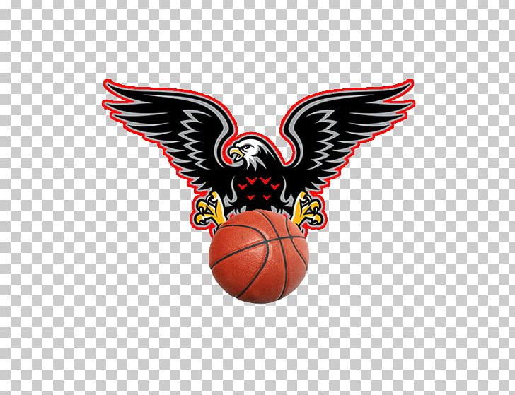 Maryland Eastern Shore Hawks Women's Basketball Atlanta Hawks Football Liga 1 PNG, Clipart,  Free PNG Download