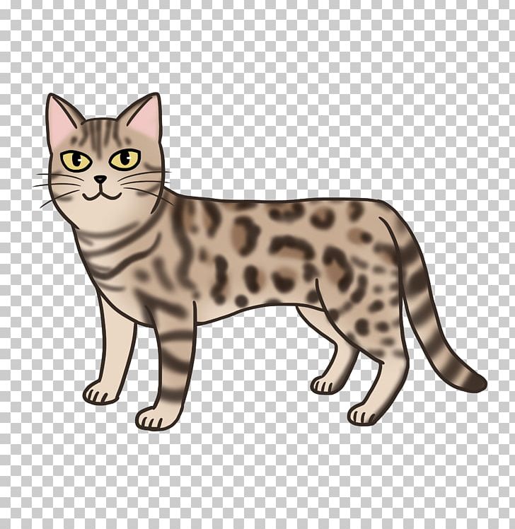 American Shorthair California Spangled American Wirehair Bengal Cat Tabby Cat PNG, Clipart, American Wirehair, Animals, Asian, California Spangled, Carnivoran Free PNG Download
