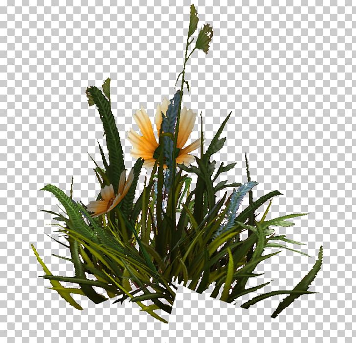 Floral Design Grasses Plant Stem Flower PNG, Clipart, Floral Design, Floristry, Flower, Flower Arranging, Flowering Plant Free PNG Download