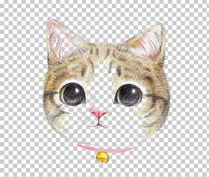 Cat Dog Colored Pencil Painting Cuteness PNG, Clipart, Animals, Ball, Big, Big Eyes, Boy Cartoon Free PNG Download