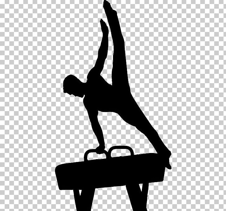 Gymnastics PNG, Clipart, Gymnastics Free PNG Download