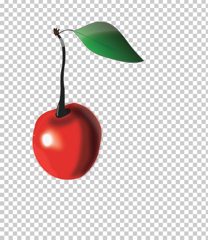 Cherry Drawing Production Artist PNG, Clipart, Cherry, Color, Couleur, Desktop Publishing, Drawing Free PNG Download