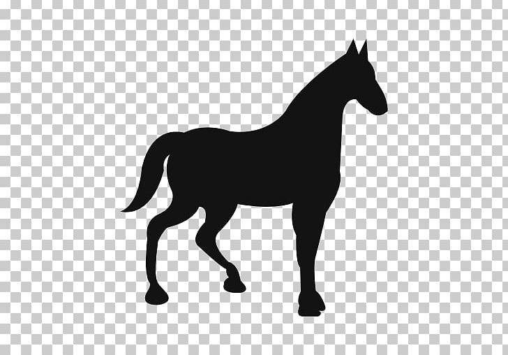 Horse Graphics Stallion Illustration PNG, Clipart, Black, Black And White, Bridle, Colt, Computer Icons Free PNG Download
